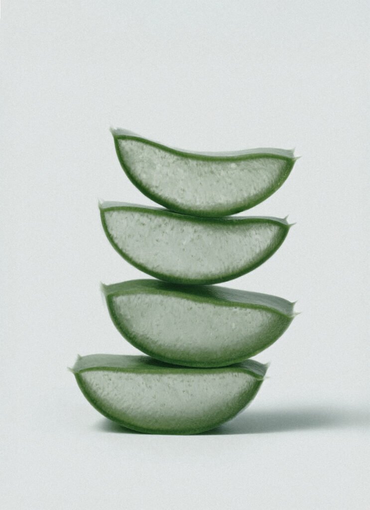 Aloe Barbadensis Leaf Juice – hydrating botanical extract in Naccentia skincare