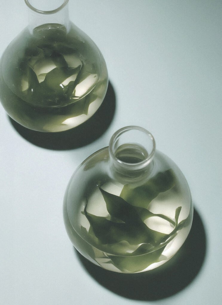 Aminobutyric Acid (GABA) – calming skincare active in Naccentia skincare