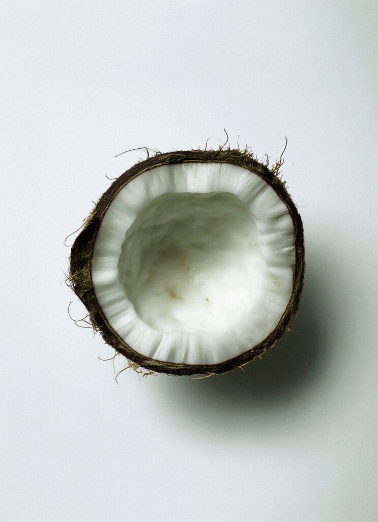 Coconut Fruit Extract – nourishing botanical in Naccentia skincare