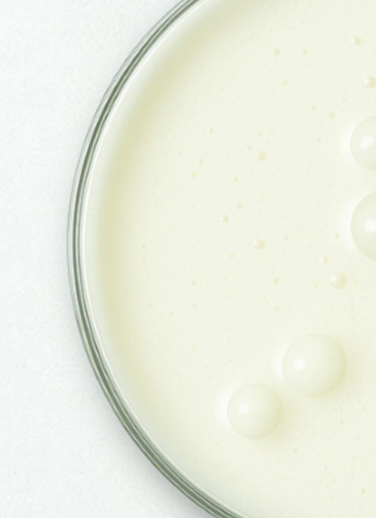 Lactobacillus Ferment – probiotic active for skin balance in Naccentia skincare