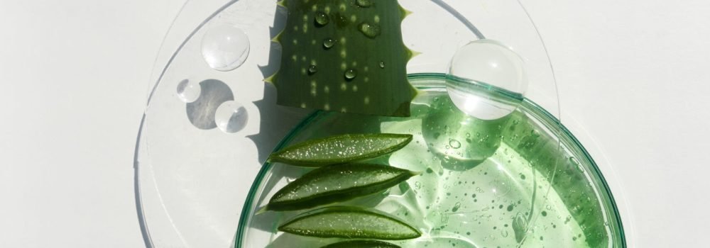 Abstract cosmetic laboratory. Aloe vera cosmetic product, natural ingredients and laboratory glassware